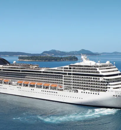 Msc