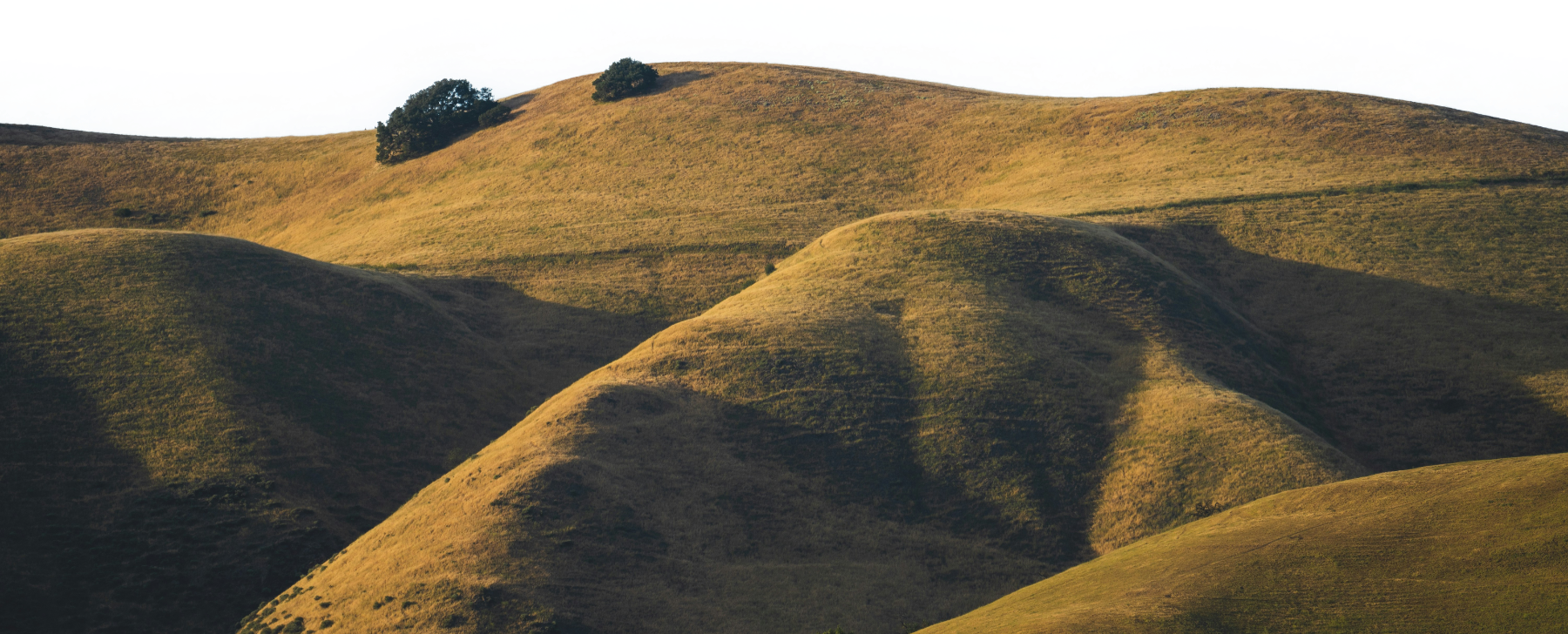 Hill