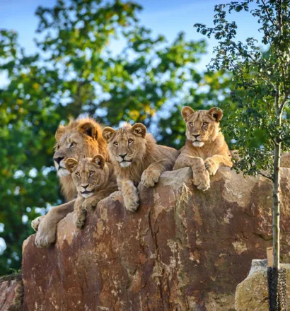 Zoo zlin2